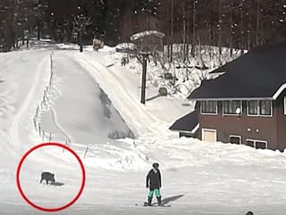 Šialené VIDEO zo svahu: