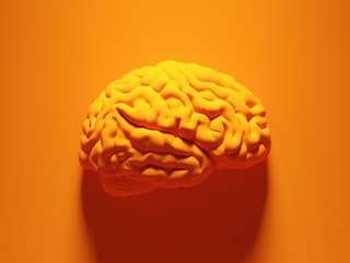 Vznik ALZHEIMEROVEJ choroby poháňa