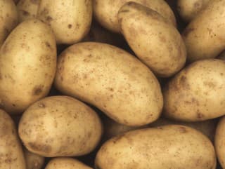 ŽIADNA špajza či pivnica: