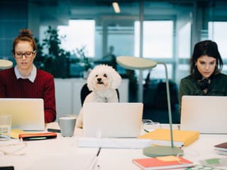 Príjemná atmosféra na pracovisku