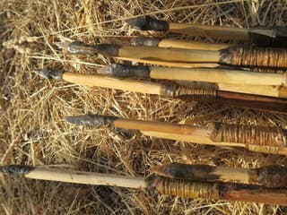 Vedci prekvapujú: Už prví