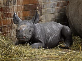 Svetovo unikátna česká zoo: