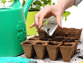 Prečo v záhrade uprednostniť