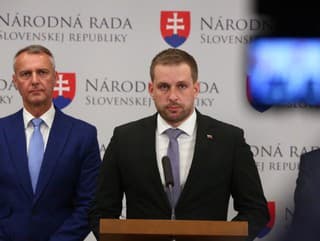 Slovensko podporuje vznik aliancie
