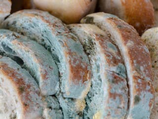 Pozor na nebezpečné TOXÍNY