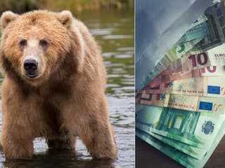 Drahý špás? Štát nakúpil