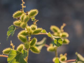 KĽÚČ proti starnutiu máte