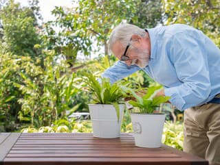 Vošky nebudú mať šancu!