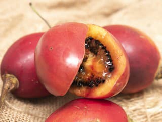 Ľahko si ho POMÝLITE