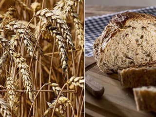 STOPKA pre potraviny z