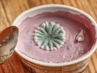 Vykrojiť PLESNIVÝ kúsok nestačí: