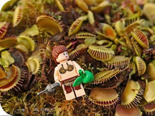 Väzeň zomrel spôsobom, ktorý