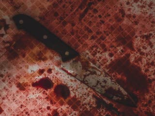 BRUTÁLNA VRAŽDA Stanislava! Muž