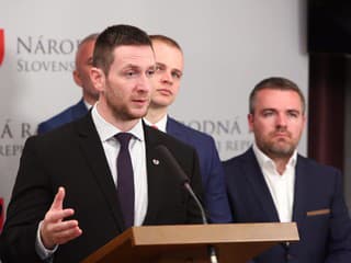 Infringement pre novelu ústavy