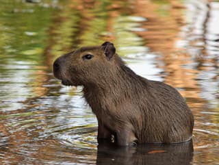 TikTokové a Instagramové hviezdy