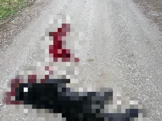 FOTO Lesníci autom ZABILI