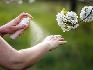 KLIEŠTE už pijú krv: