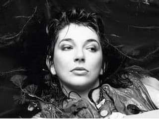 Kate Bush, 1985