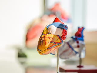 VEĽKÉ TESTOVANIE SLOVÁKOV Zdravie: