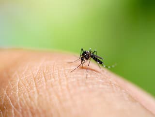 Predbehnite KOMÁRE a udržte