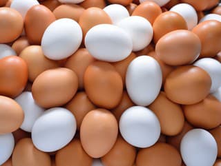 Hnedé alebo biele VAJCIA?