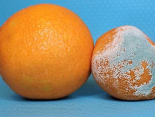 Našli ste na potravinách