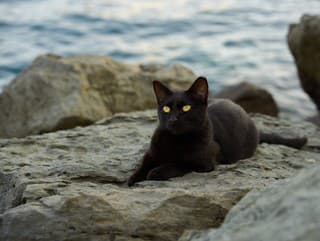 Povery pozná každý z