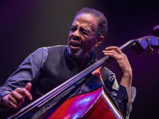 Stanley Clarke, Jarné džezáky,