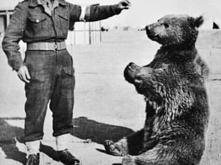 Vojenskí maskoti aj miláčikovia