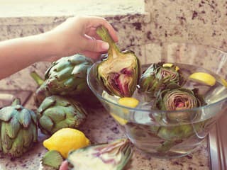 Obnova PEČENE na počkanie: