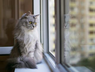 ZASMEJTE SA: Rodičia priviedli