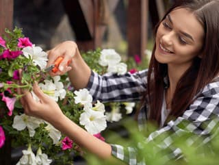 Ako vybrať balkónové rastliny