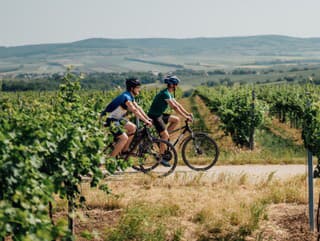 Cyklistika v Dolnom Rakúsku