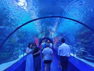 Sneh uprostred leta aj