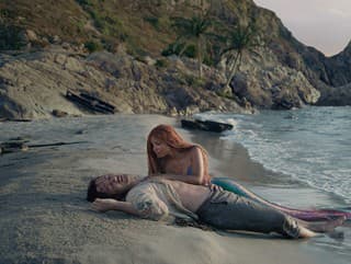 Malá morská víla s