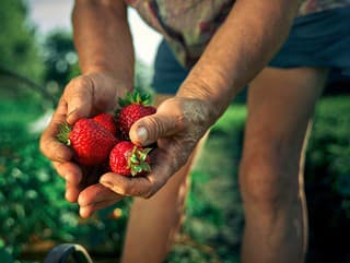 VIDEOTIP Úžasný spôsob, ako
