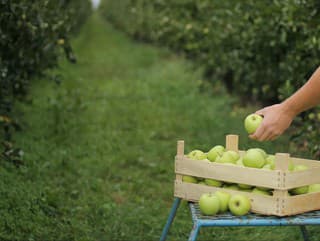 K rodinnému podniku sa
