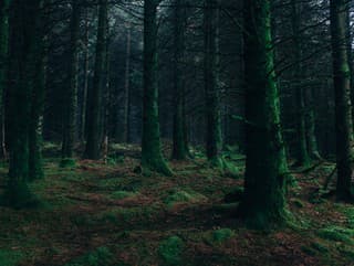 Hovorí ti niečo Ďáblův