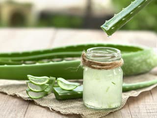 Aloe vera na podporu