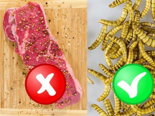 ŠOKUJÚCE rozhodnutie: KONIEC hovädzieho