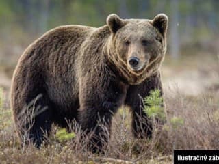 PRVÉ SLOVÁ matky, ktorá