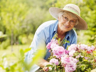 Prečítajte si, čo o