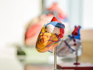 KVÍZ O ľudskom tele: