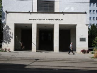 Slovensko sa púšťa do