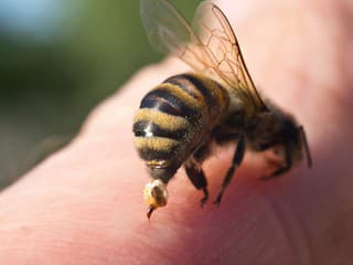 Mamičky, pozor, PREVRATNÝ objav!