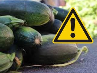 POZOR Cuketa ako ZABIJAK: