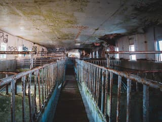 Majiteľ tejto schátranej farmy