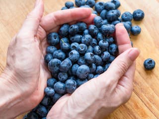 Riziko demencie a Alzheimera