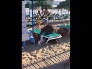 Dovolenkári v Španielsku neveria