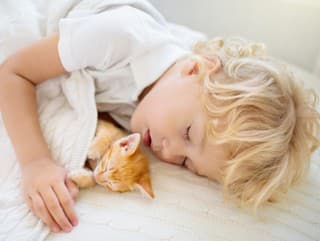 Viete, KOĽKO hodín by